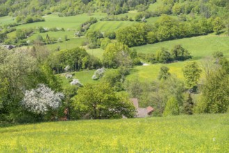 Sunny illuminated idyllic rural springtime scenery in Hohenlohe, a district in Southern Germany