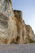 Chalk cliff near Saint Leonard, a commune in the Seine-Maritime department in the Normandy region
