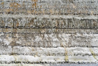 Chalk cliff closeup seen near Fecamp, a commune in the department of Seine-Maritime at the Normandy