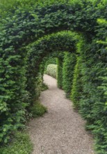 Idyllic garden scenery showing some green plant arches over a footpath at summer time seen in