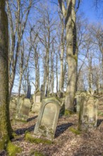 Historic jewish graveyard at early spring time near Berlichingen in Hohenlohe, a area in Southern