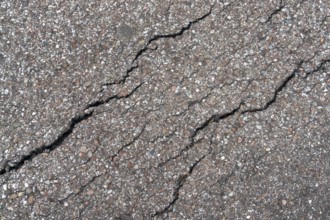 Fissured asphalt detail seen from above