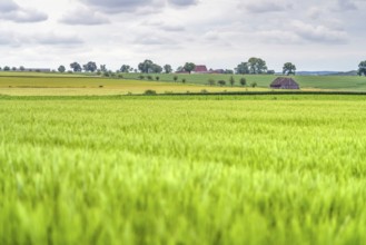 Idyllic rural scenery in Hohenlohe, a area in Southern Germany