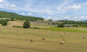 Impression around Mont Ventoux, a mountain in the Provence region of southern France