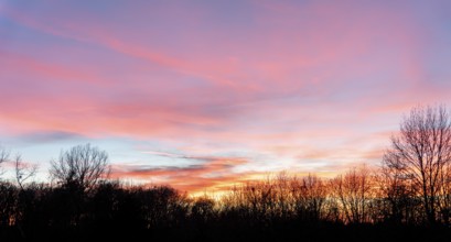 A colorful sundown including some clouds behind some leafless treetop silhouettes