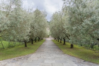 Impression around the Piona Priory or Piona Abbey, a religious complex on the Lecco bank of Lake