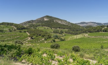 Scenery around La Roque-Alric in the Vacluse department in the Provence region of southern France