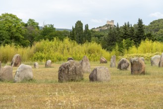 Scenery including some boulders around Vaison-la-Romaine, a town in the Vaucluse department in the