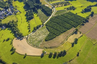 Aerial view, Christmas tree cultivation fields, Heinsberg, Kirchhundem, Sauerland, North
