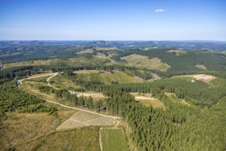 Aerial view, forest area with forest damage, construction site at Dürrenberg with distant view near