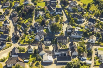 Aerial view, construction site and construction work with scaffolding at the heritage-protected