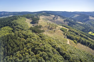Aerial view, Albaumer Klippen, forest area with forest damage, hilly landscape, Albaum,