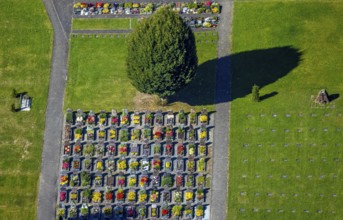 Aerial view, Langenei cemetery with colourful flower grave field, shapes and colours, Langenei,