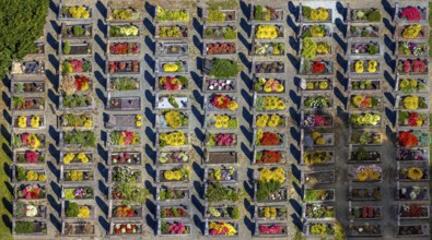 Aerial view, Langenei cemetery with colourful flower grave field, shapes and colours, Langenei,