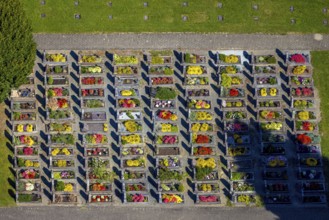 Aerial view, Langenei cemetery with colourful flower grave field, shapes and colours, Langenei,