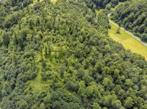 Aerial view, castle ruin resp. Remains of the Rüdenburg (also Alte Grafenburg or Alte Burg) on the