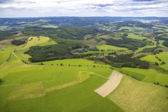 Aerial view, forest area with forest damage, distant view and blue sky with clouds, meadows and