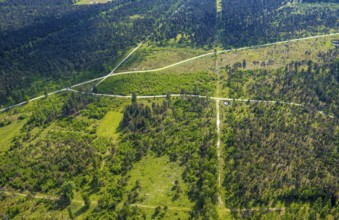 Aerial view, forest pastures Wistinghauser Senne nature reserve, heathland, forest and meadows and