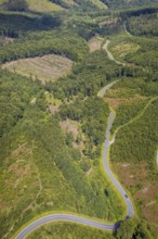 Aerial view, serpentines at the Ochsenkopf between Arnsberg and Sundern in the forest area with