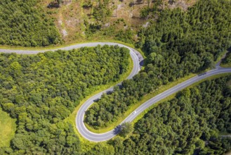Aerial view, serpentines at the Ochsenkopf between Arnsberg and Sundern in the forest area with