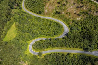 Aerial view, serpentines at the Ochsenkopf between Arnsberg and Sundern in the forest area with