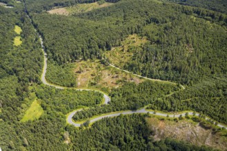 Aerial view, serpentines at the Ochsenkopf between Arnsberg and Sundern in the forest area with