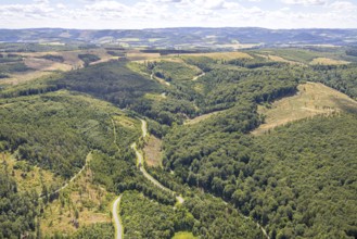 Aerial view, serpentines at the Ochsenkopf between Arnsberg and Sundern in the forest area with