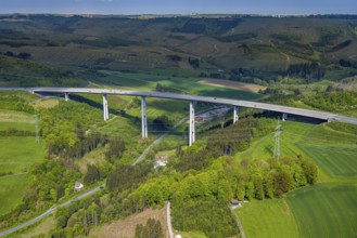 Aerial photograph, motorway A 46 viaduct Nuttlar, forest area with forest damage, Nuttlar, Bestwig,