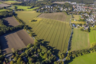 Aerial view, triangular group of trees in a field on Lünener Straße, field, field, group of trees,