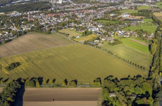 Aerial view, triangular group of trees in a field on Lünener Straße, field, field, group of trees,