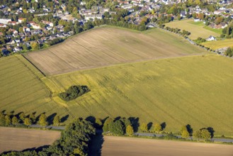 Aerial view, triangular group of trees in a field on Lünener Straße, field, field, group of trees,