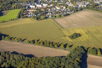 Aerial view, triangular group of trees in a field on Lünener Straße, field, field, group of trees,