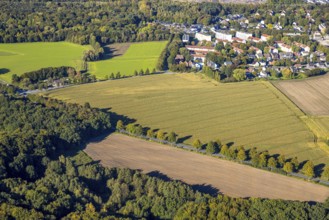 Aerial view, triangular group of trees in a field on Lünener Straße, field, field, group of trees,