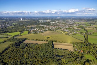 Aerial view, triangular group of trees in a field on Lünener Straße, field, field, group of trees,