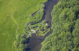 Aerial view, nature reserve Ruhrauen near Bestwig, river Ruhr and stones with grass bushes,