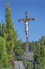 Crucifix and the tree of life (Thuja) at the Roman Catholic parish church of the Assumption of the
