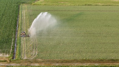Agricultural irrigation system spraying water over young soybean plants in an Italian farm field