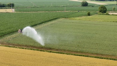 Vast Soybean Field in Northern Italy Receiving Water from a Powerful Irrigation Sprinkler System on