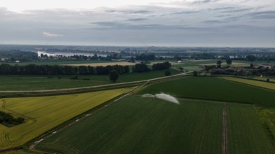 Aerial view of sophisticated sprinkler irrigation systems nurturing lush green soybean crops across