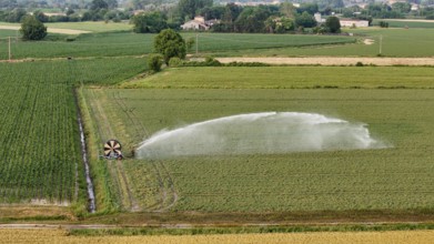 Springtime agricultural irrigation using a large rain gun sprinkler system to water young soybean