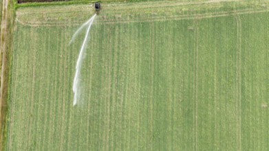 Aerial view of a large agricultural field with a rain gun sprinkler system irrigating young soybean