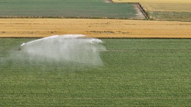 Modern Agricultural Irrigation Techniques Employing Rain Gun Sprinklers for Soybean Cultivation