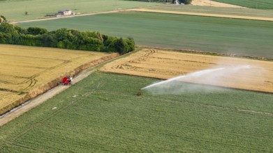 Automated Irrigation System Sprays Water on Lush Green Soybean Fields in Italy During Springtime