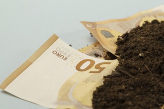 Soil is covering a fifty euro banknote symbolizing investment, growth, and savings