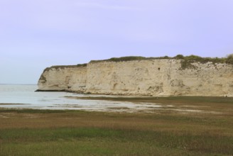 Coast in Charentes, Cliffs by a calm sea under a pale sky, surrounded by green grass and a gentle