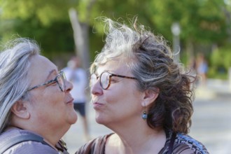 Two senior women are expressing their love and affection with a gentle kiss in a park setting