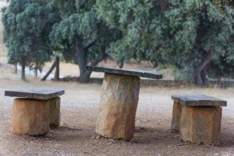 Rustic wooden table and benches providing a peaceful resting spot in a park setting