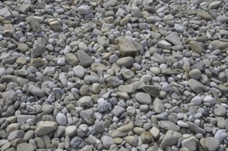 Pebbles background on a beach, A close-up view of a surface covered with various shapes and sizes