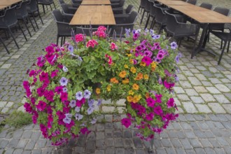 Flower box with petunias (Petunia), on stone paving, Bavaria, Germany