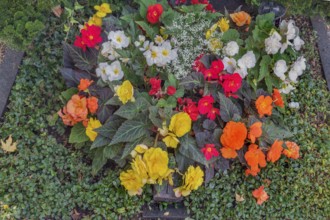 Gravesite with lavish floral decoration, catholic cemetery, Kempten, Allgäu, Bavaria, Germany